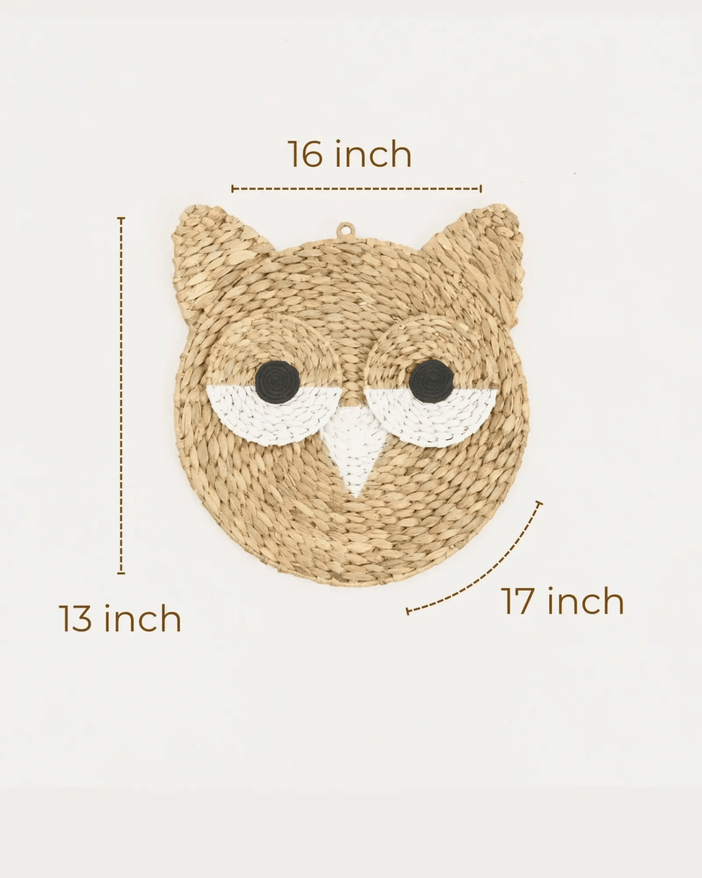 Sir Hoots A lot and Mr. Grizzly