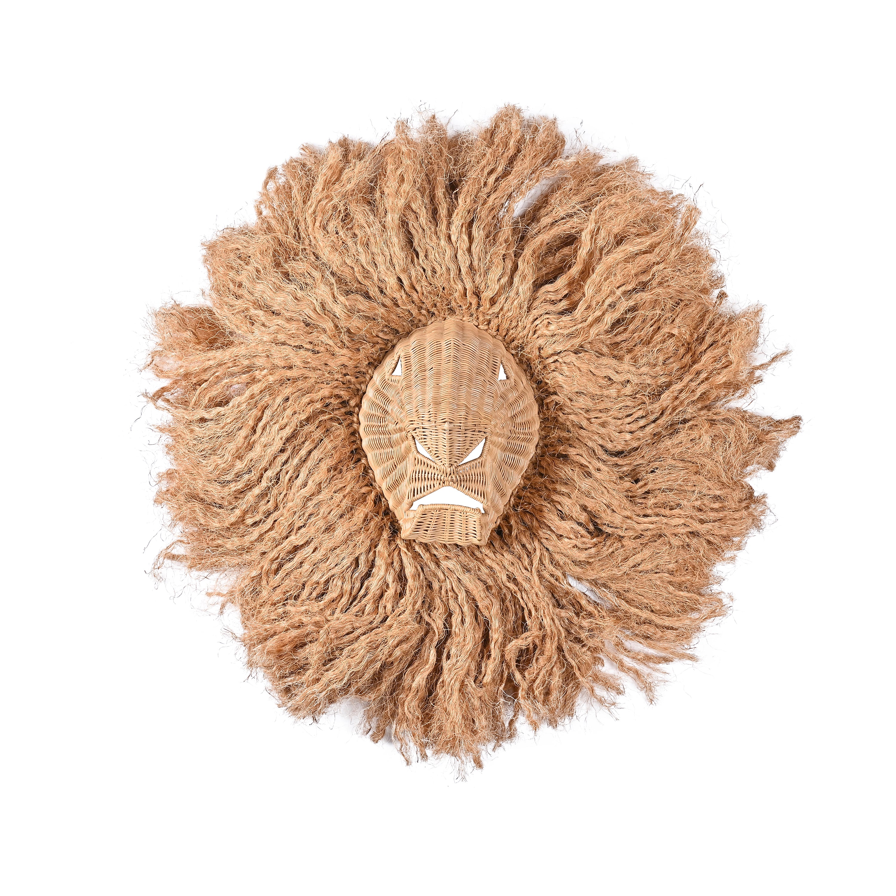 leo the handsome lion wall decor