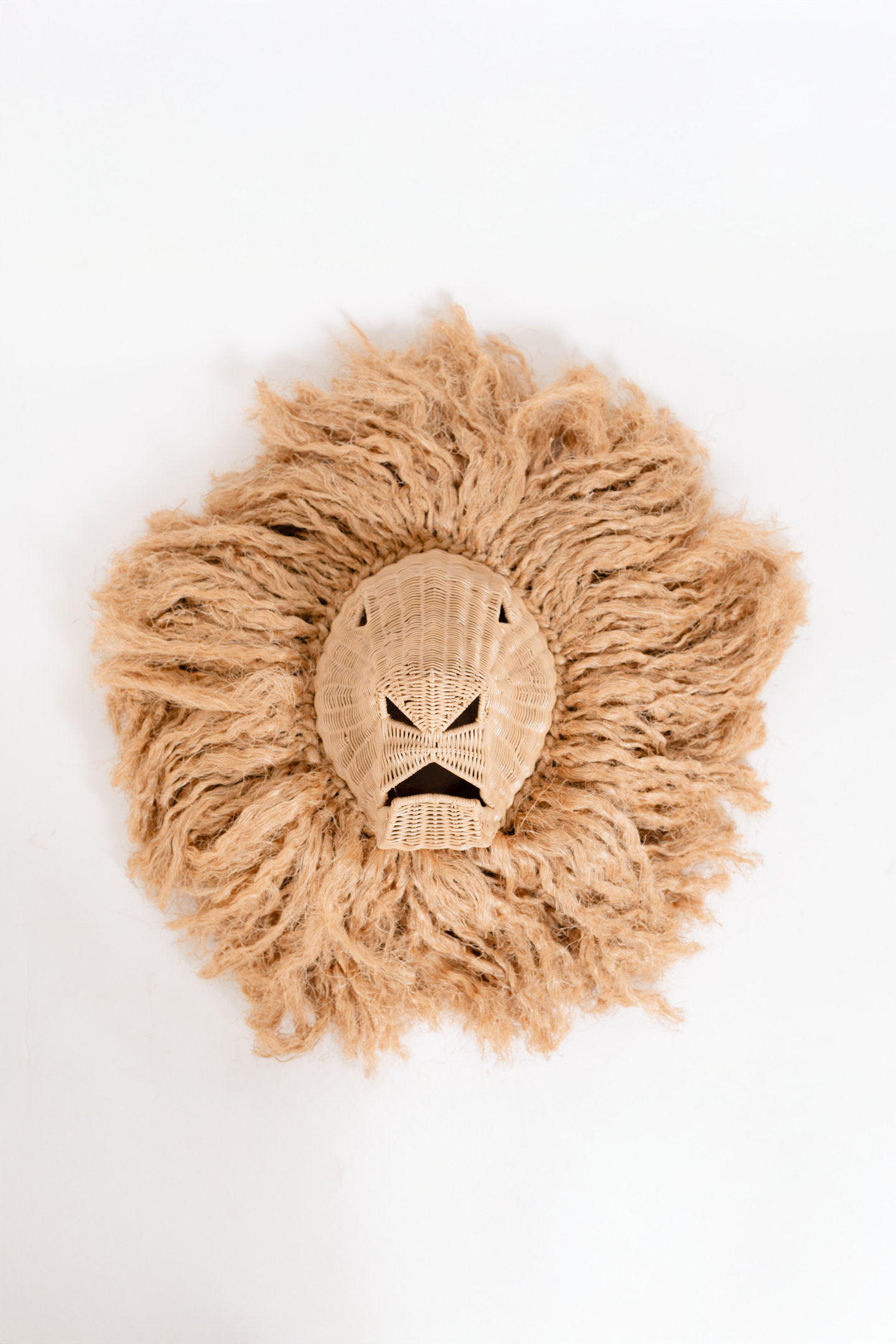 Leo the Handsome Lion Wall Decor