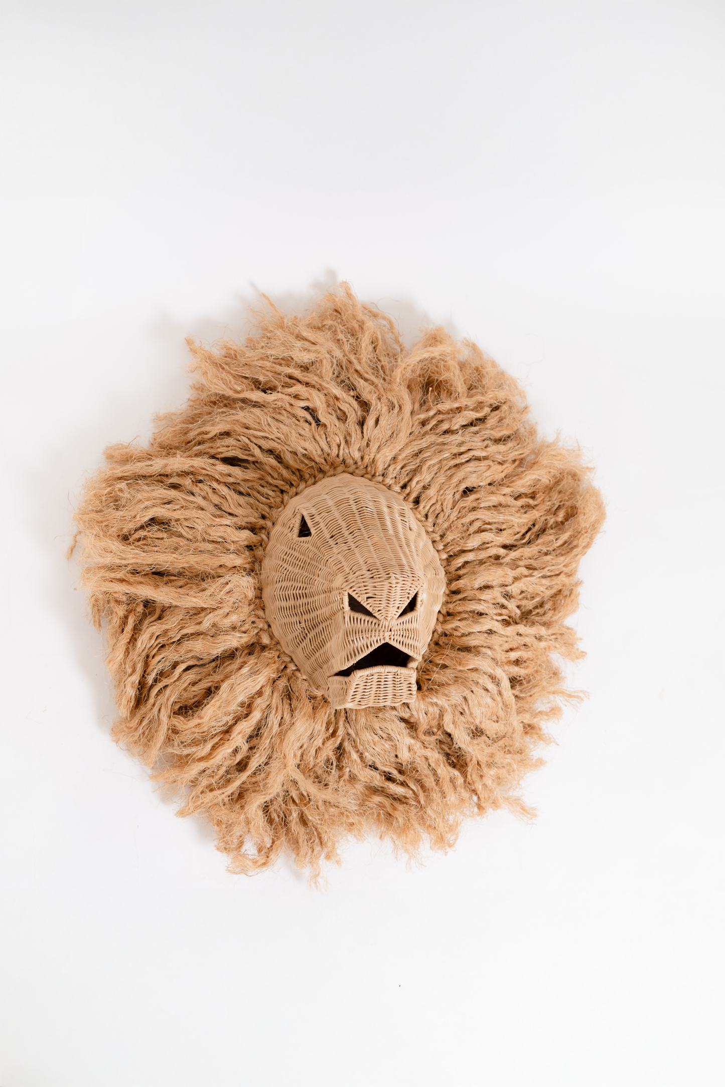 Leo the Handsome Lion Wall Decor