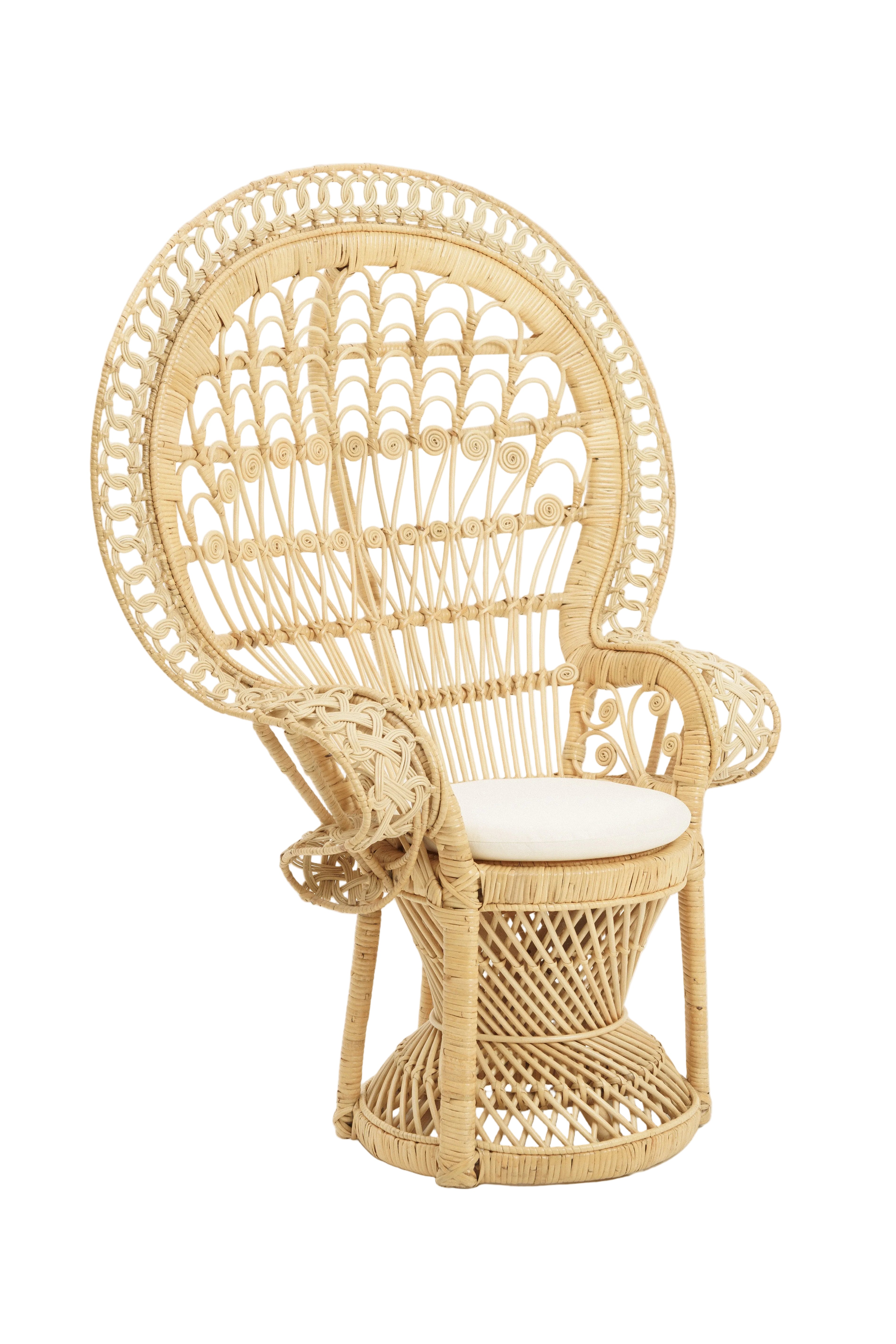 pretty peacock chair