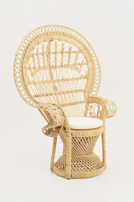 pretty peacock chair
