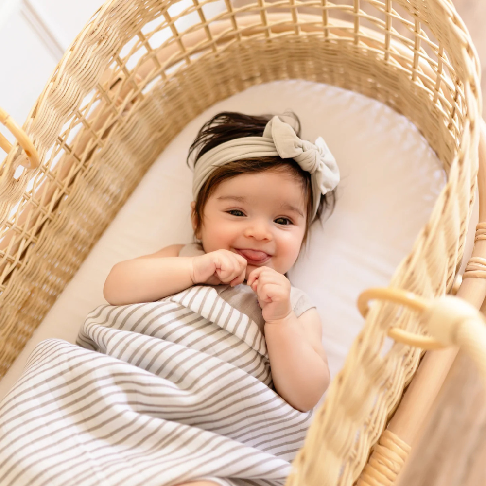 Change- a- Roo Moses basket and rocking stand