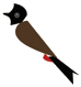 files/bird-change.png