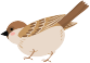 files/bird1.png