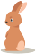 files/pet2.png